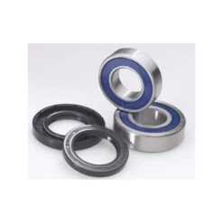 ROULEMENTS D' ARBRE EXCENTRIQUE MOYEU YFM 125 GRIZZLY ET JOINTS BRAS OSCILLANT 04/13